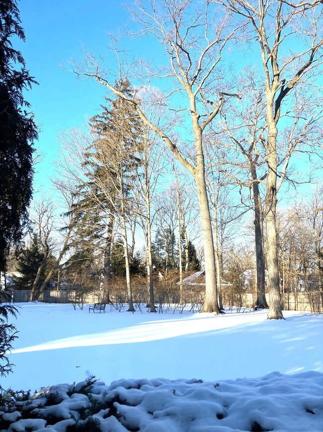 Building Photo - 544 Ravine Ave