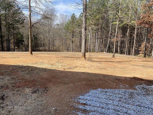 Building Photo - 36 Spring Creek Ct