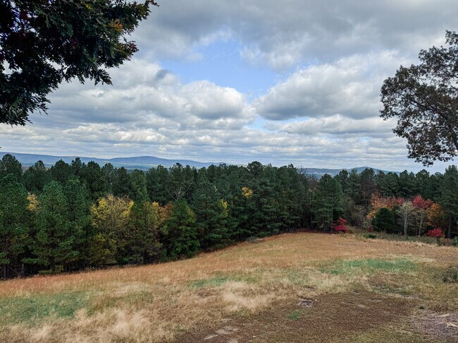 Building Photo - 27 Cadiz Ln