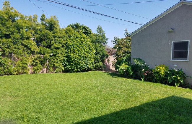 Backyard view SE. Avocado tree behind garage. - 15242 Wilkie Ave