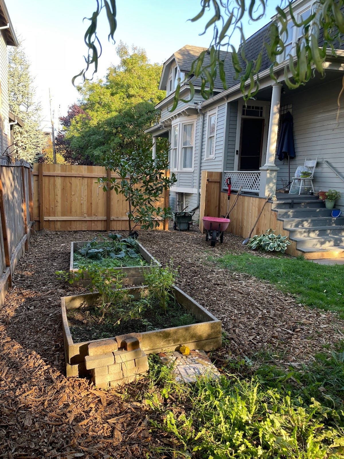 Raised beds - 3915 NE Rodney Ave