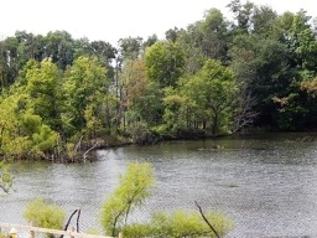 Building Photo - 502 Waterview Ct