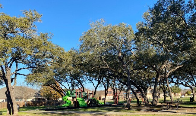 Building Photo - 8415 Spicewood Bend