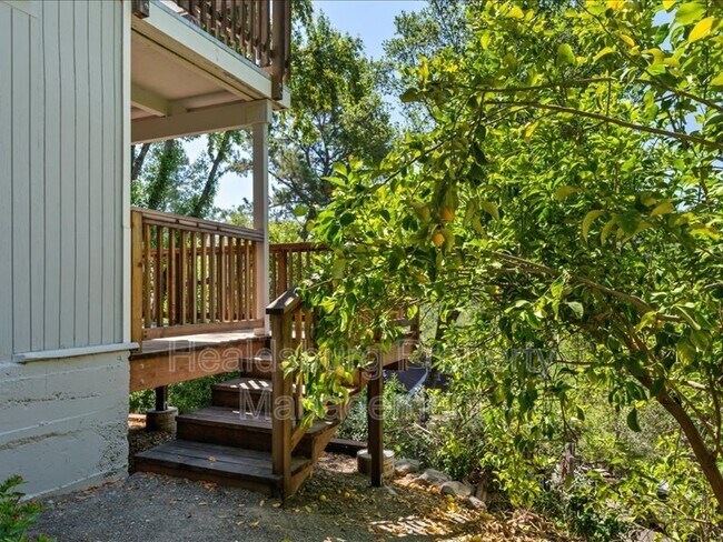 Building Photo - 2054 Madrone Ave