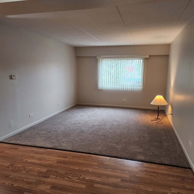 Living Room with New Carpet - Sheridan Center Apartments