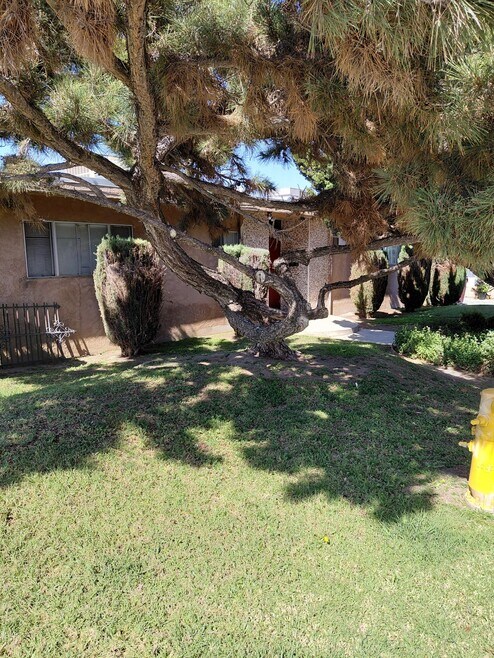 Building Photo - 1819 Lampton Ln
