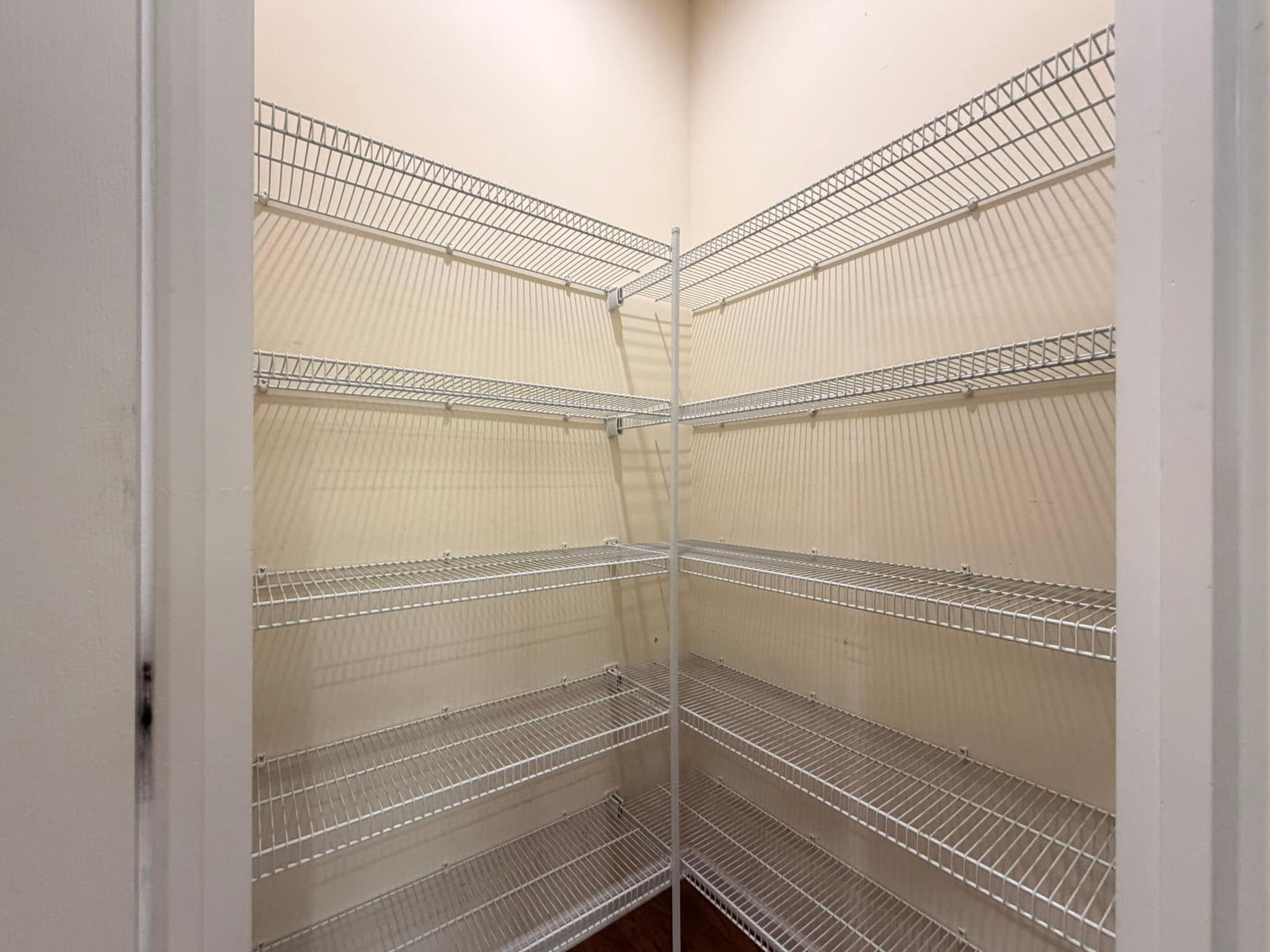 Building Photo - 8268 Primanti Blvd