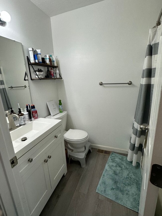 Building Photo - 4BR/3BA Medical Lake House!