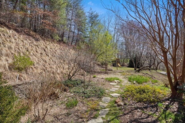 Building Photo - Spacious Home in South Asheville