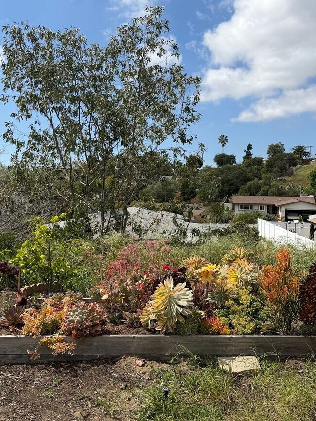 Building Photo - Beautifully Updated 3 Bed, 2 Bath Home in West Vista