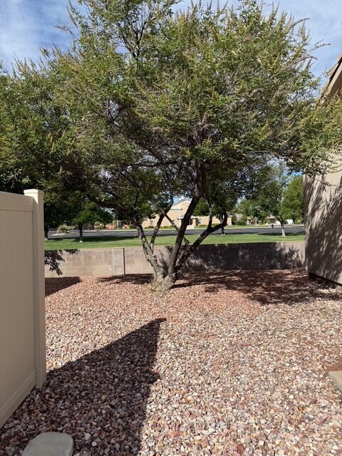 Building Photo - Well-maintained 3 bed/2 bath condo near Sky Mountain golf course.