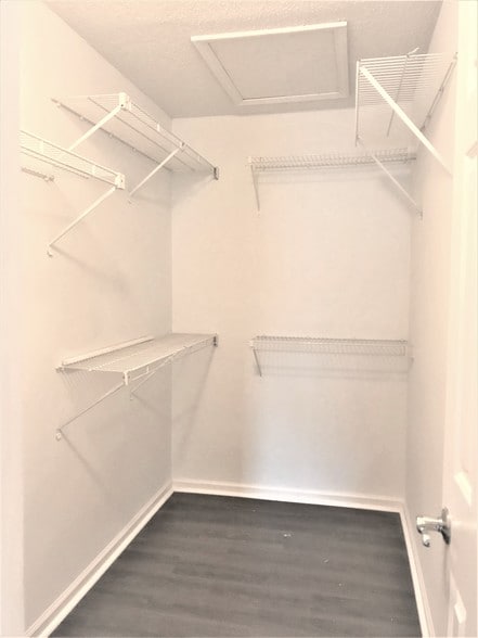 Walk-in Closet - 709 Abingdon Way NE