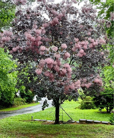 Building Photo - 5112 Miller Rd SW