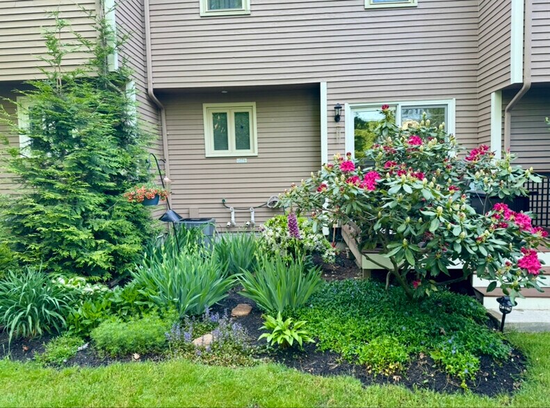 Building Photo - 275 Donohue Rd