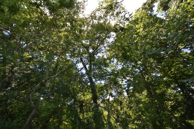 Building Photo - West Feliciana School District! 3 bedroom, 1.5 bath home in coveted Audubon Hills Subdiv