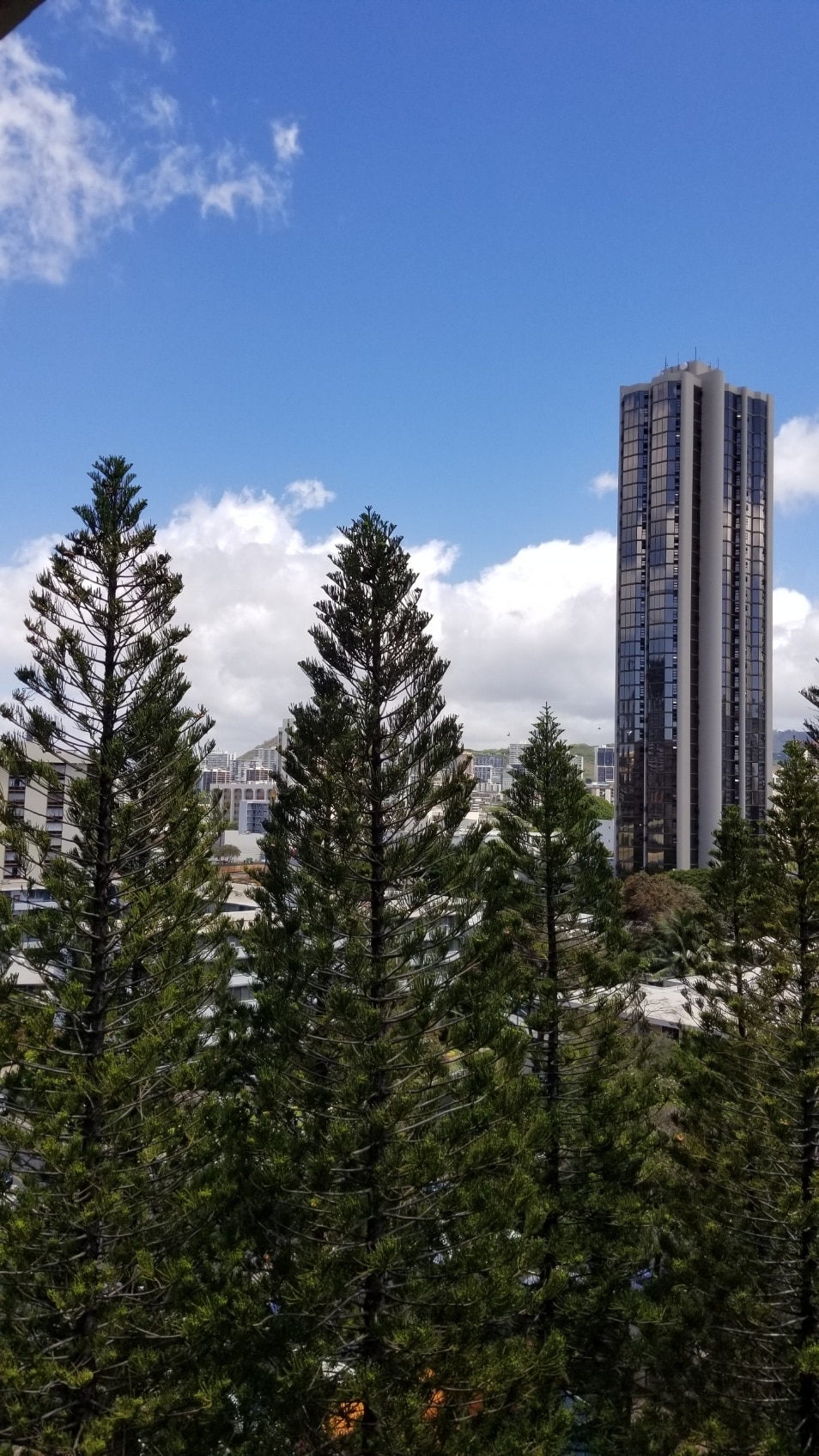 Building Photo - 1610 Kanunu St