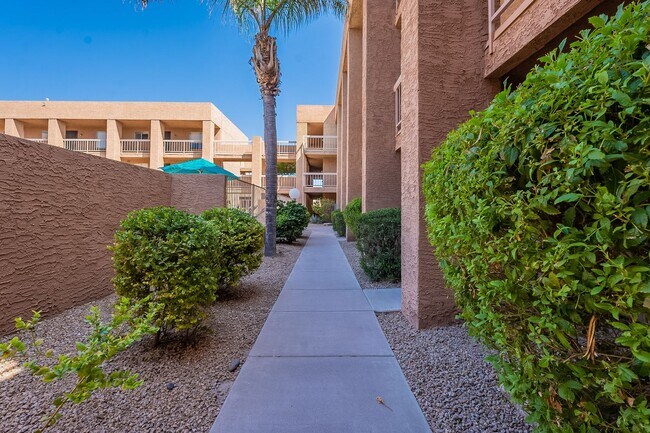 Building Photo - Two Bedrooms in Old Town Scottsdale - Avai...