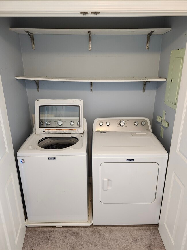 Building Photo - 203 Oak Hollow Ct