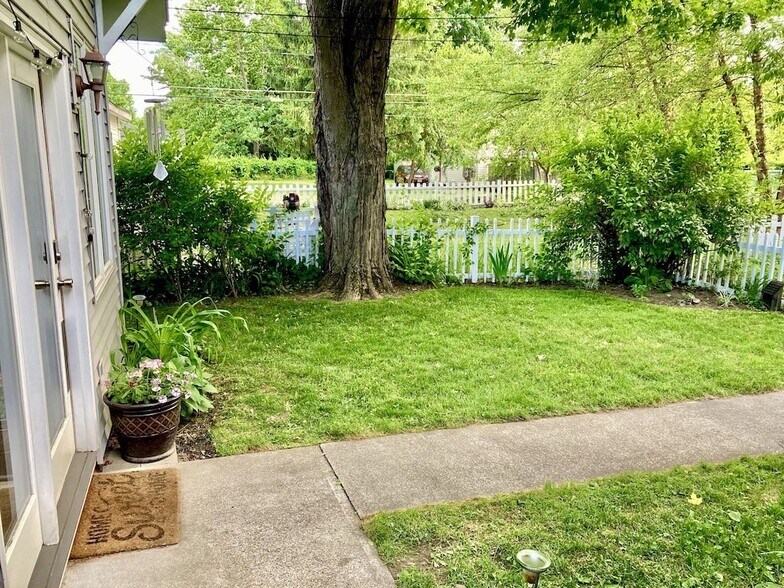 Backyard - 59 Monroe St