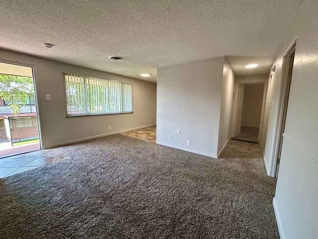 Bright living room with plush carpet and large window, featuring open access to balcony and hallway. - Boardwalk Apartments