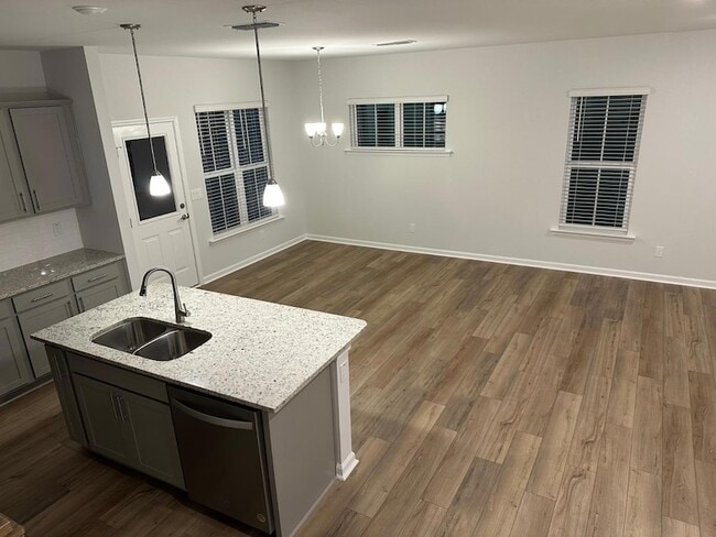 Building Photo - 1007 Blissful Waters St