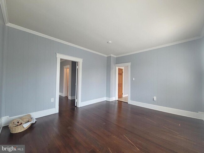 Building Photo - 537 N Loudoun St