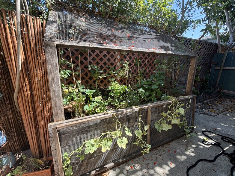Raised Cedar Veggie Garden - 912 1/2 California Ave