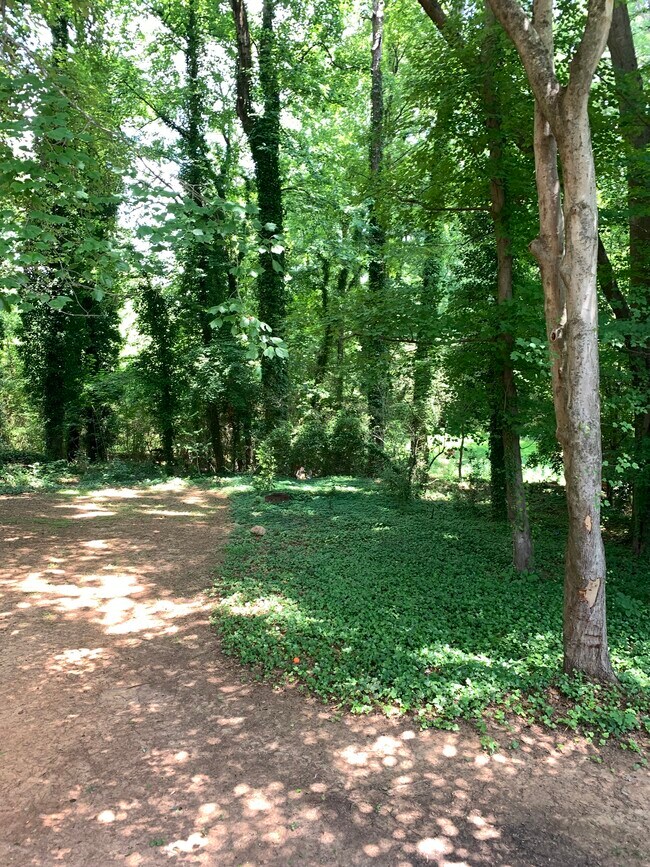 Building Photo - 1714 S Johnson Ferry Rd NE