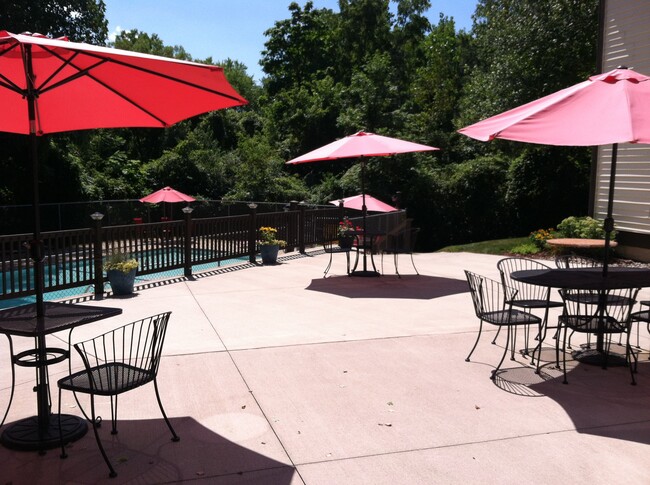 Pool Patio - 4515 W Bancroft St