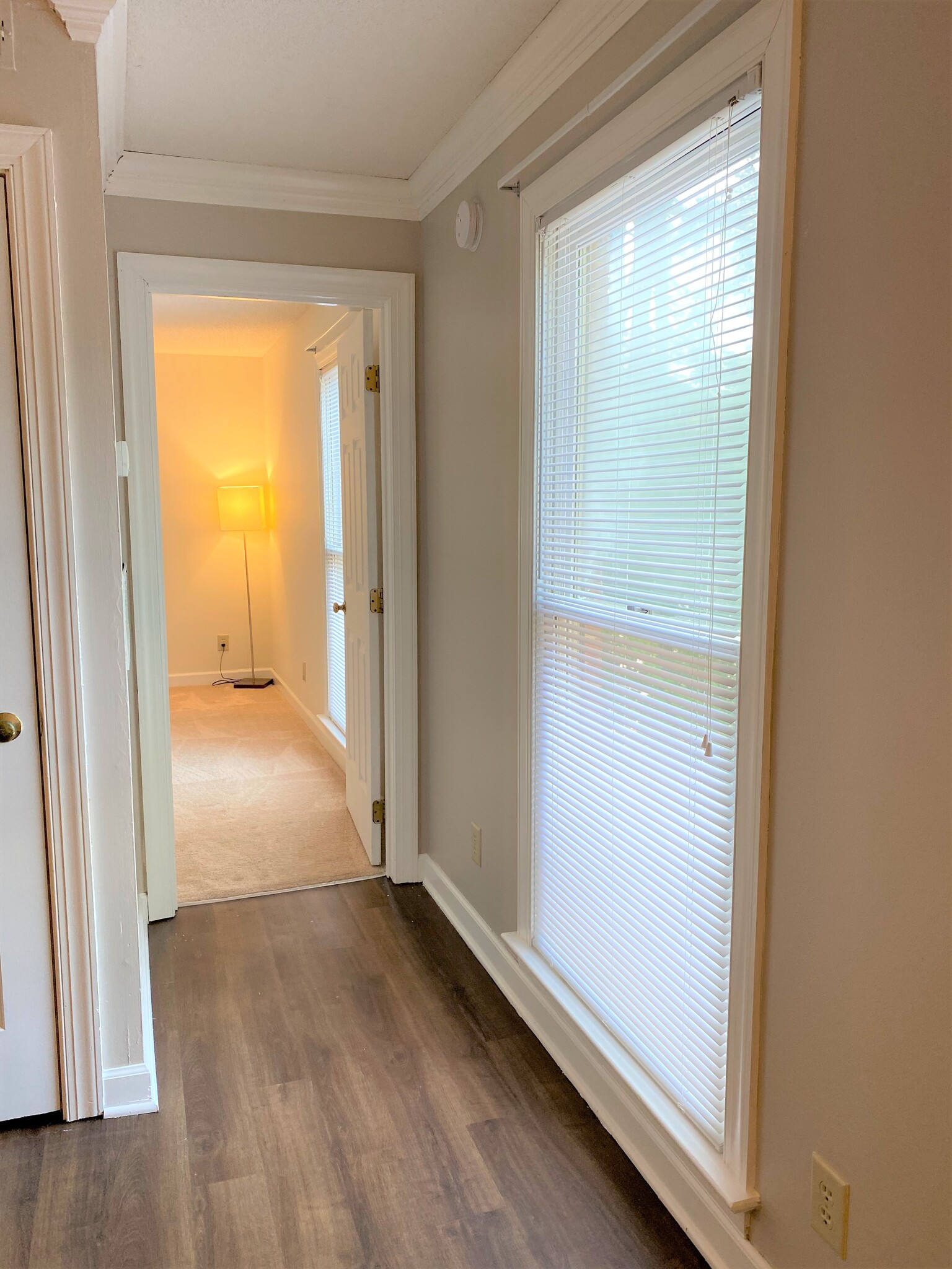 hall to master bedroom, large windows let in afternoon sun - 3537 Ivy Commons Dr