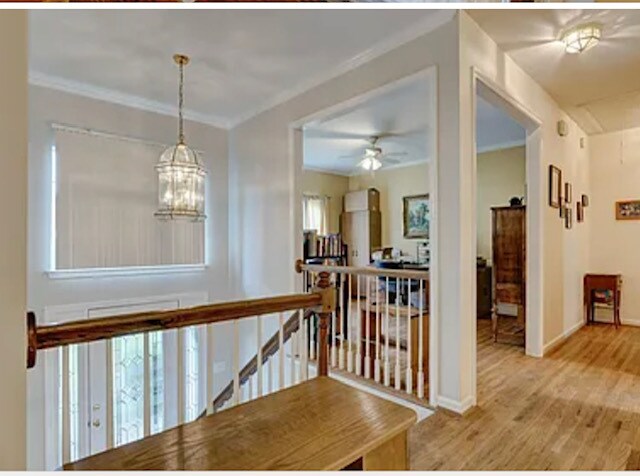 Building Photo - 205 Camellia Dr