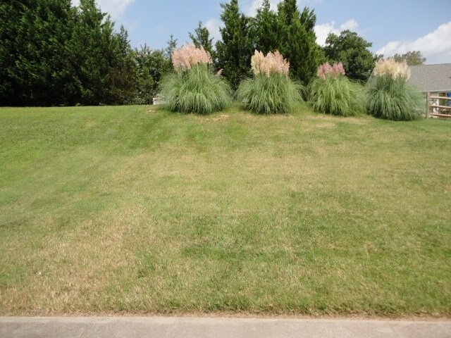 Building Photo - 6605 Springfield Village Ln