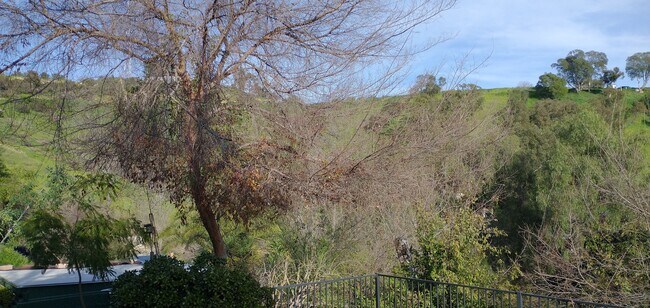 View - 3214 Johnston St