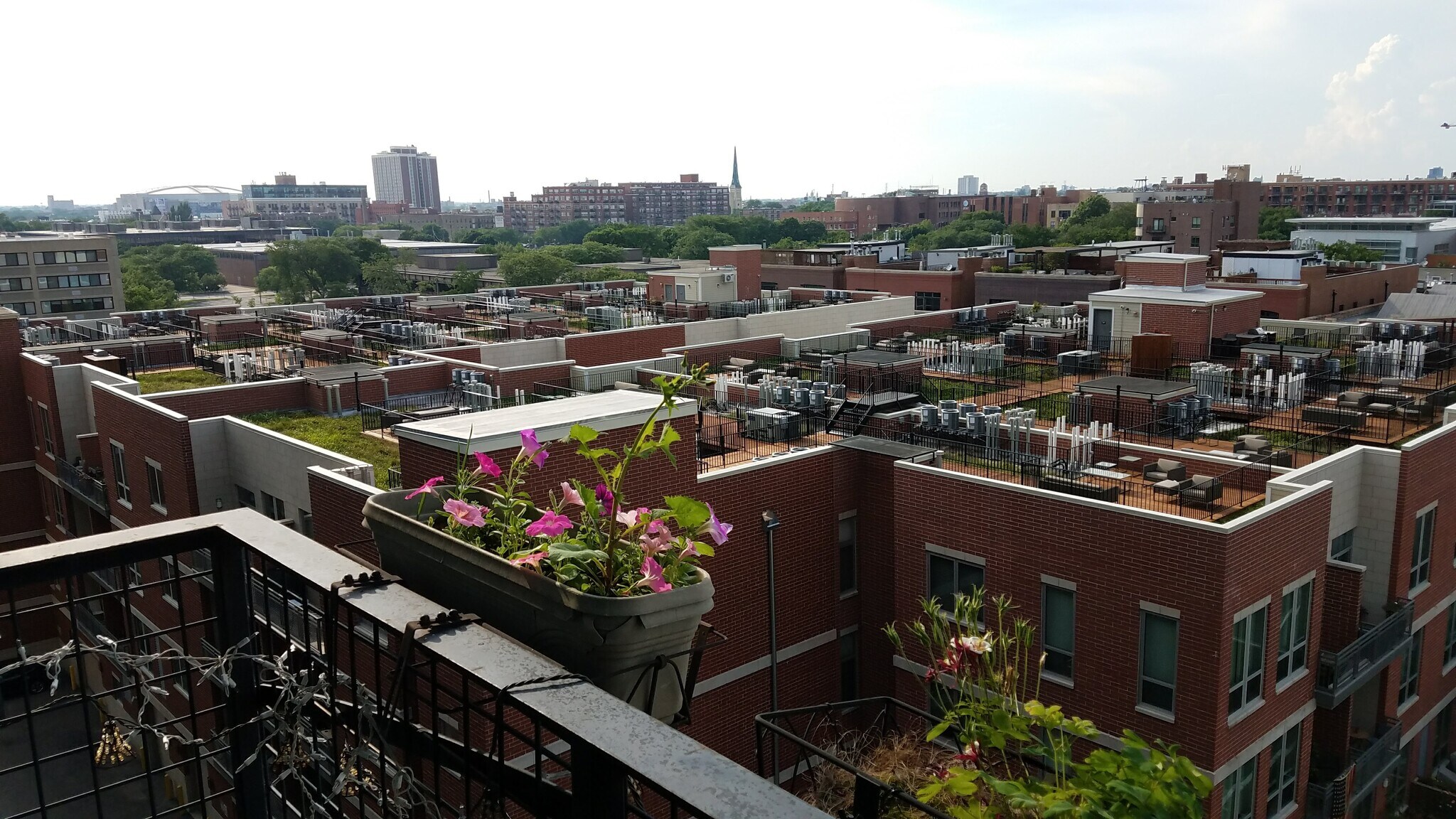 Building Photo - 1224 W Van Buren St