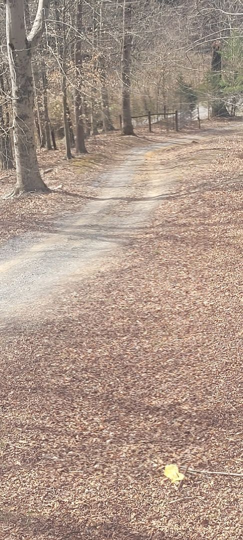 Building Photo - 2 Bedroom / 1 Bath Fully Furnished Cabin on 2 plus acres all utilities included - Surgoinsville TN