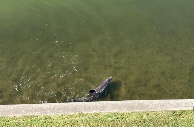 Building Photo - 8800 Bay Pines Blvd