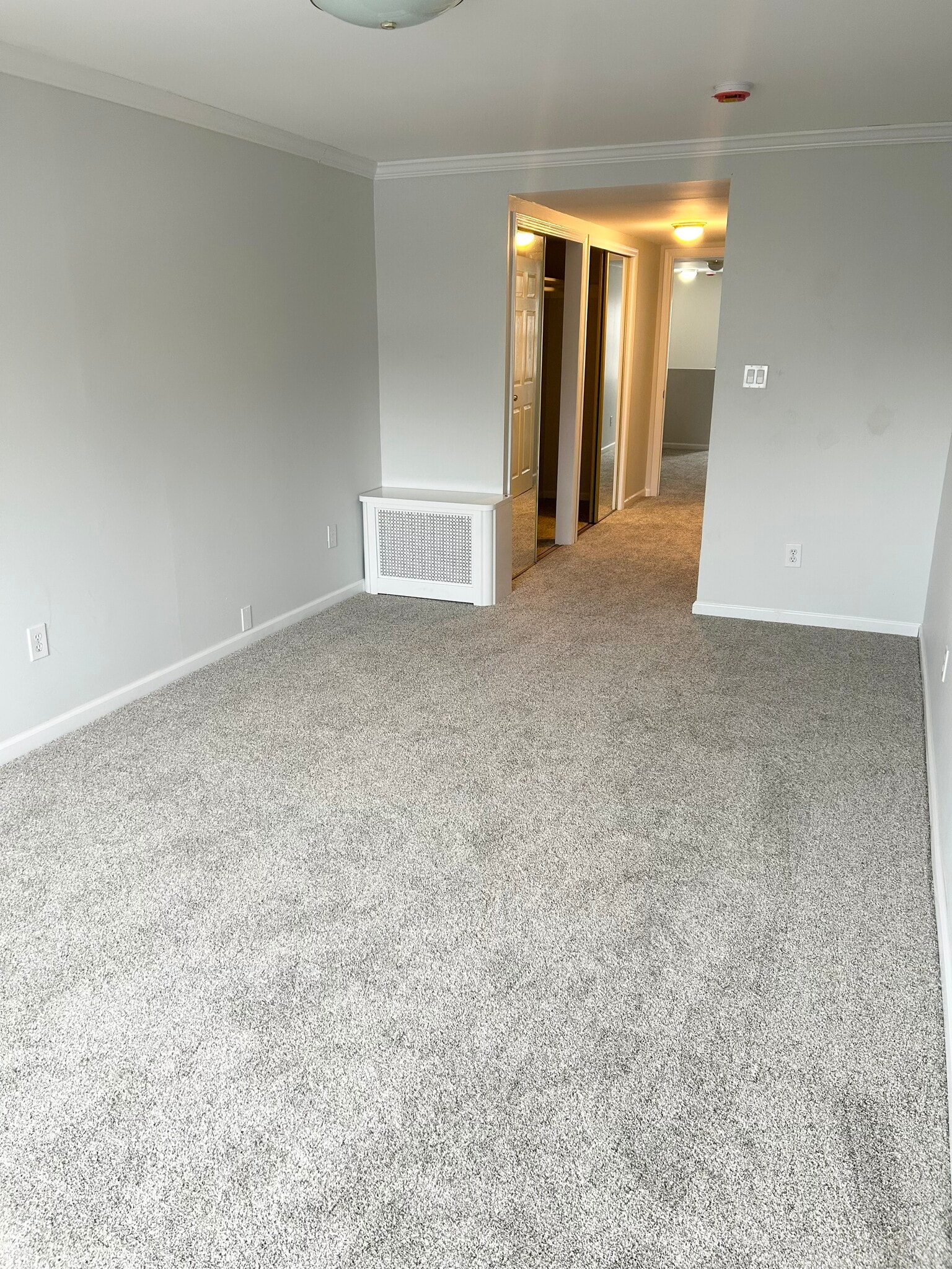 Master Bedroom - 10 Devon Ter