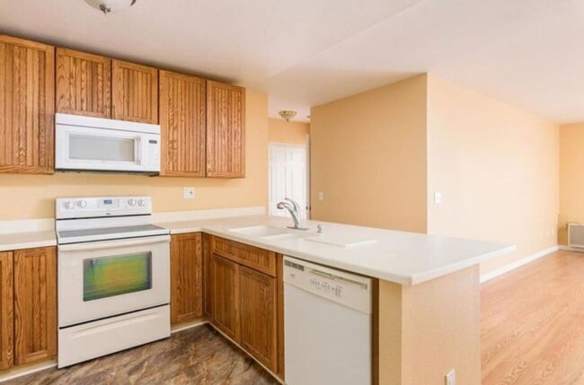 Building Photo - Spacious and Comfortable Condo -  A/C - Central Location - Great Amenities - Natural Light