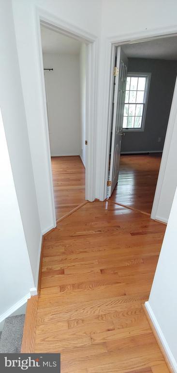 Building Photo - 20 Merino Ct