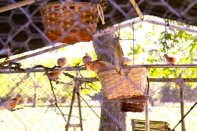 Building Photo - 8625 Grassbur Rd