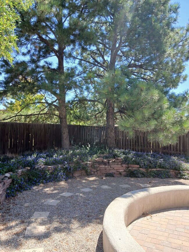 Building Photo - Absolute Gem in Pueblo Alegre (Camino De Chelly)