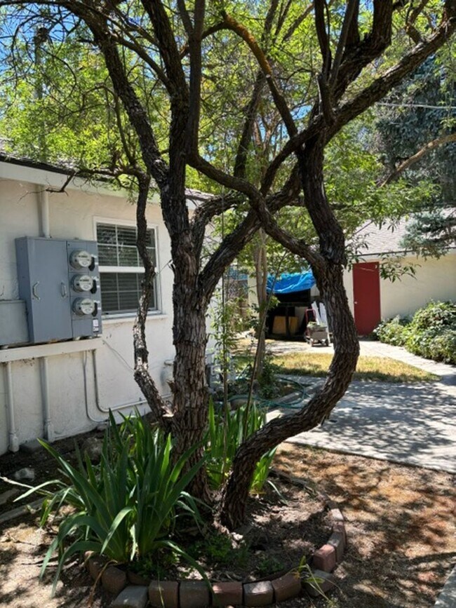 Building Photo - 821 Vine St