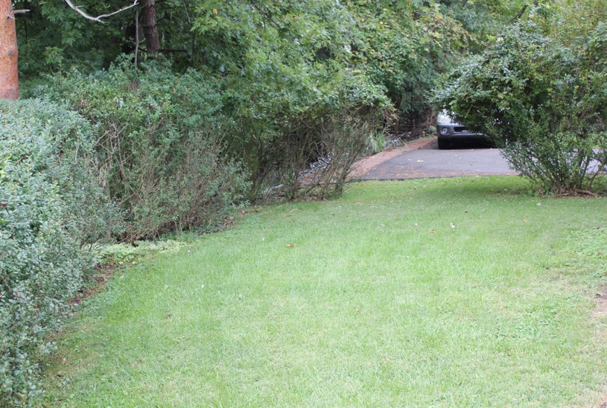 Side yard - 1035 McCabe St