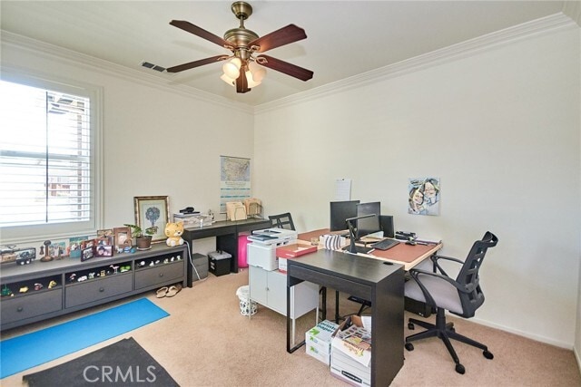 Building Photo - 8245 Campbell Ct