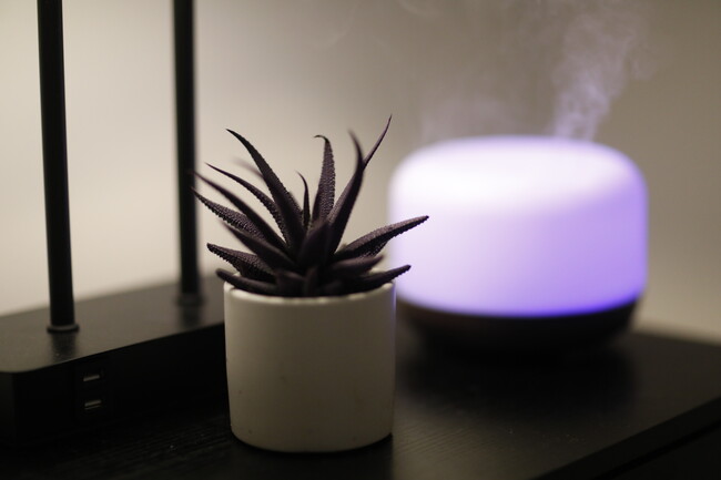 Building Photo - 3784 Nectarine Cir