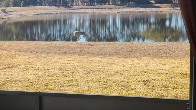 Building Photo - 19376 Blossom Vine Ln