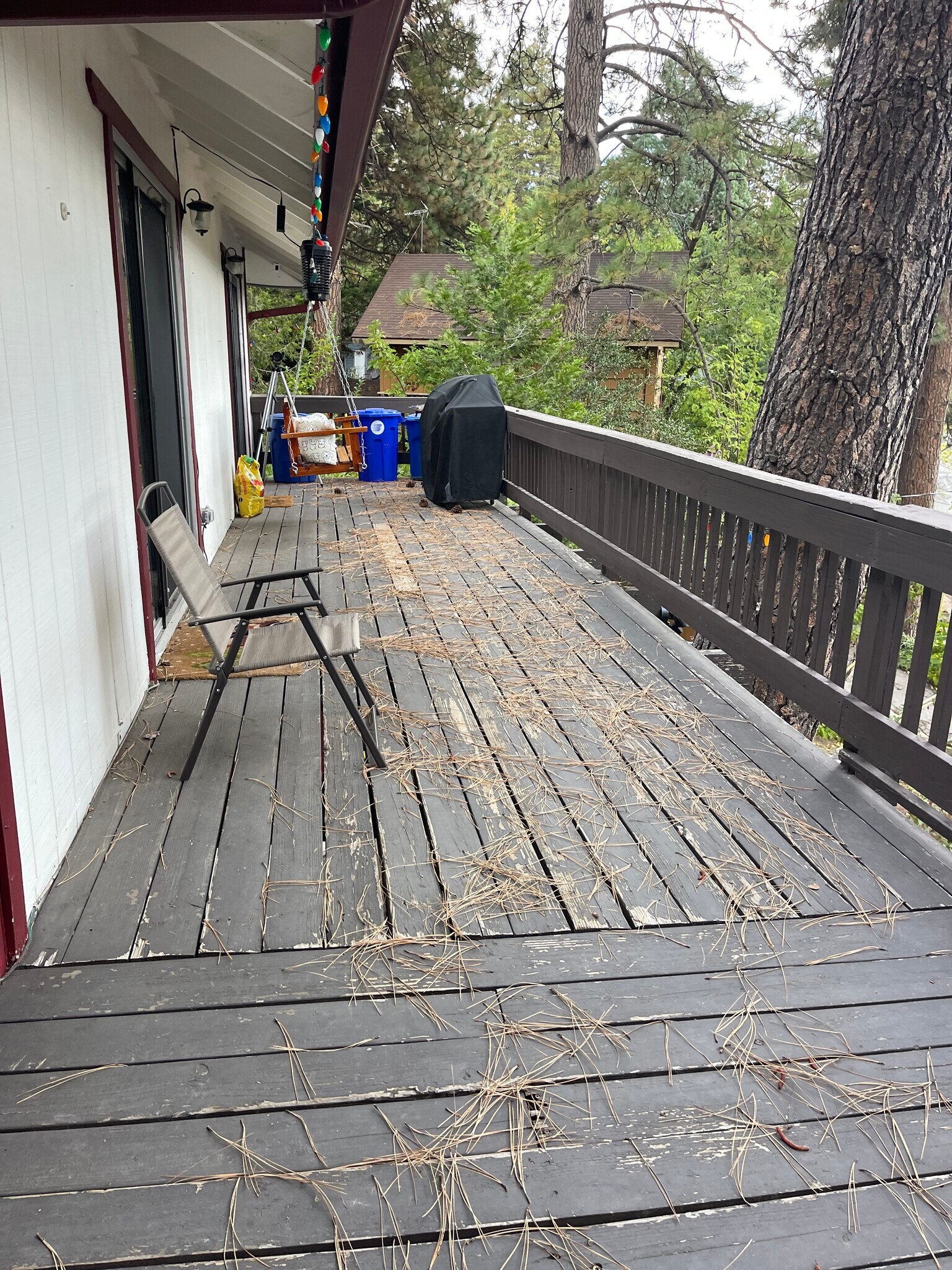 Building Photo - 2446 Spring Oak Dr