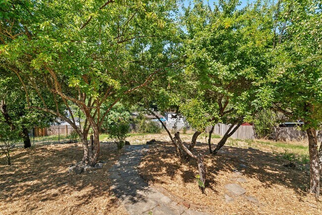 Building Photo - Sunny and Charming Boulder Creek Retreat - Modern Living on a Shared Property