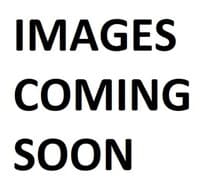 Building Photo - Cordova Duplex