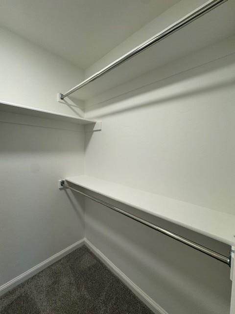 Building Photo - 3120 Mt Nebo Dr
